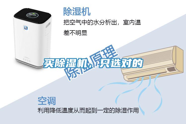 買(mǎi)除濕機(jī)，只選對(duì)的
