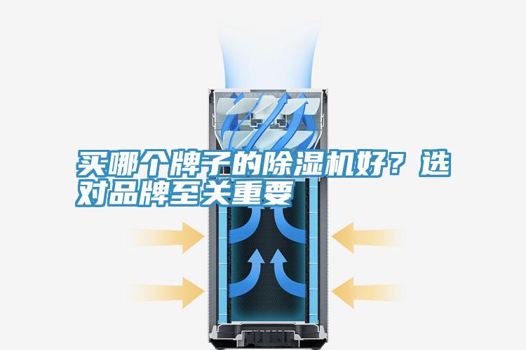 買哪個(gè)牌子的除濕機(jī)好？選對(duì)品牌至關(guān)重要
