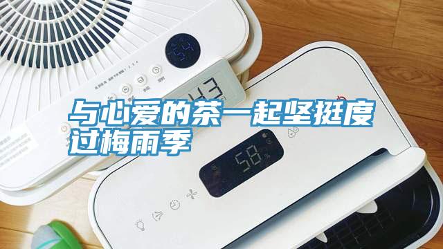 與心愛(ài)的茶一起堅(jiān)挺度過(guò)梅雨季