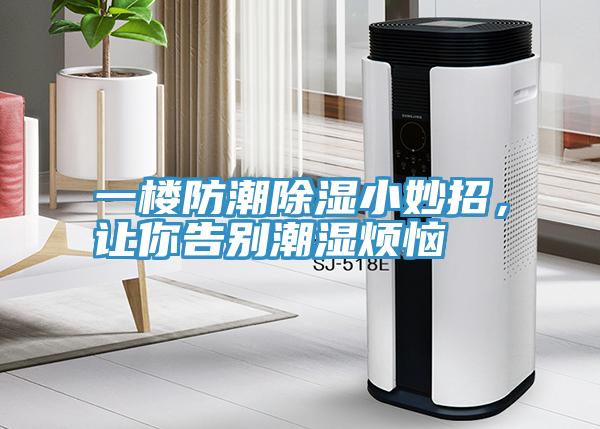 一樓防潮除濕小妙招，讓你告別潮濕煩惱