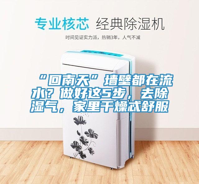 “回南天”墻壁都在流水？做好這5步，去除濕氣，家里干燥忒舒服