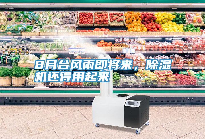 8月臺風(fēng)雨即將來，除濕機(jī)還得用起來