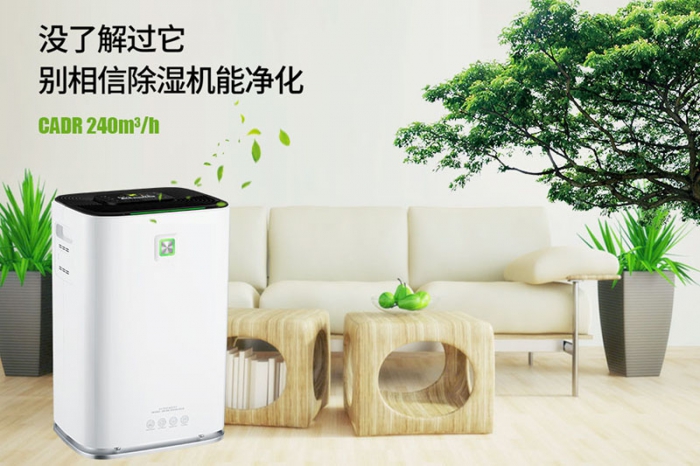 一到回南天狗狗就感冒+皮膚病，怎么辦？