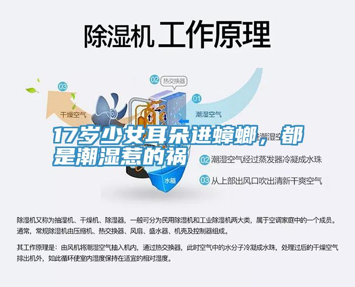 17歲少女耳朵進(jìn)蟑螂,都是潮濕惹的禍