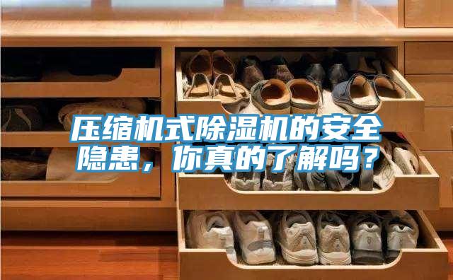 壓縮機(jī)式除濕機(jī)的安全隱患，你真的了解嗎？
