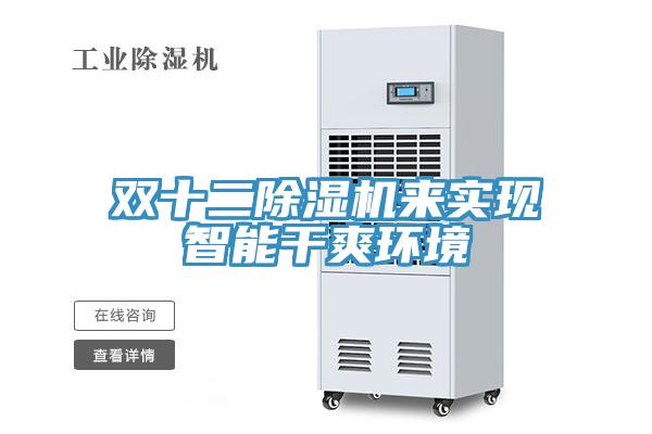 雙十二除濕機(jī)來實(shí)現(xiàn)智能干爽環(huán)境