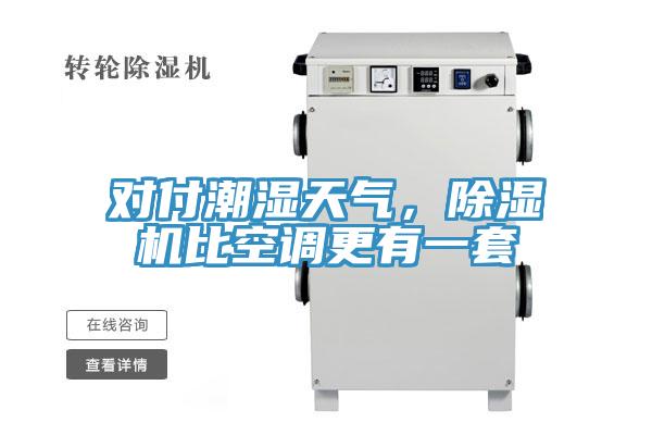 對(duì)付潮濕天氣，除濕機(jī)比空調(diào)更有一套