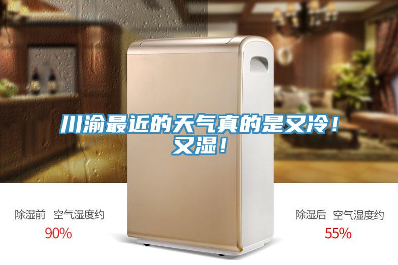 川渝最近的天氣真的是又冷！又濕！