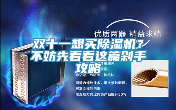 雙十一想買除濕機？不妨先看看這篇剁手攻略