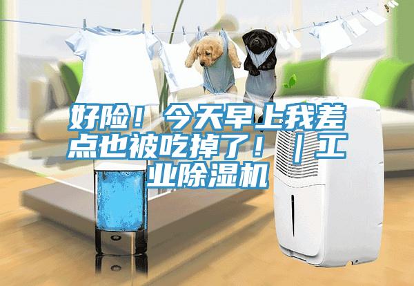 好險(xiǎn)！今天早上我差點(diǎn)也被吃掉了?。I(yè)除濕機(jī)