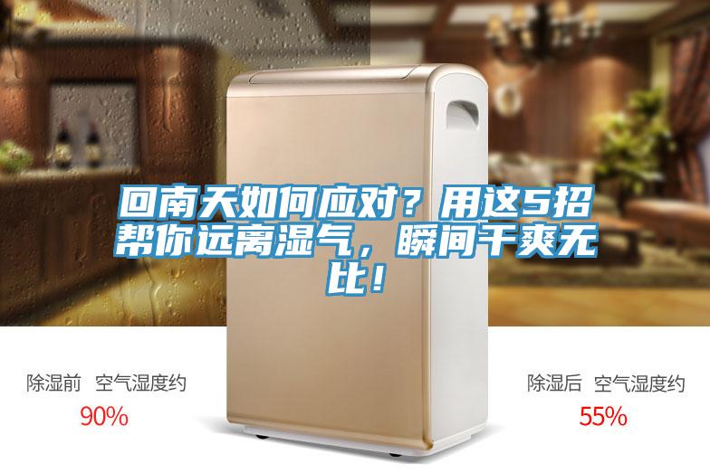 回南天如何應(yīng)對(duì)？用這5招幫你遠(yuǎn)離濕氣，瞬間干爽無(wú)比！