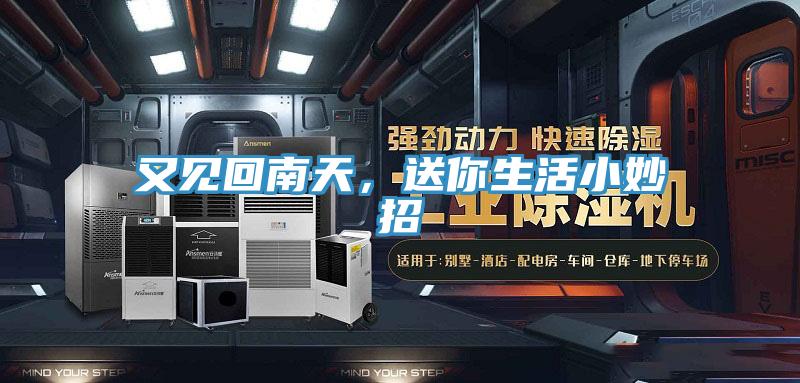 又見回南天，送你生活小妙招