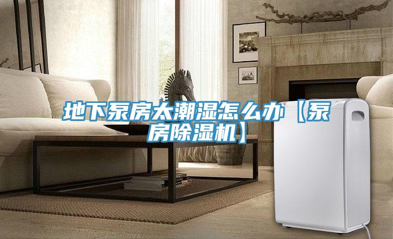 地下泵房太潮濕怎么辦【泵房除濕機】