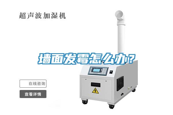 墻面發(fā)霉怎么辦？