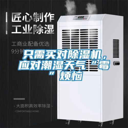 只需買對(duì)除濕機(jī)，應(yīng)對(duì)潮濕天氣“霉”煩惱