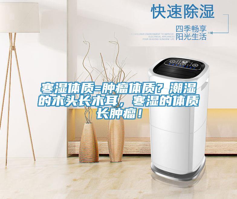 寒濕體質(zhì)=腫瘤體質(zhì)？潮濕的木頭長木耳，寒濕的體質(zhì)長腫瘤！