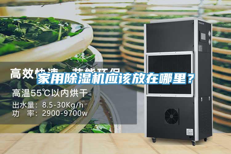 家用除濕機應(yīng)該放在哪里？