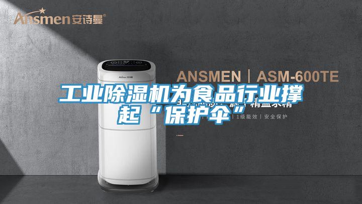 工業(yè)除濕機(jī)為食品行業(yè)撐起“保護(hù)傘”