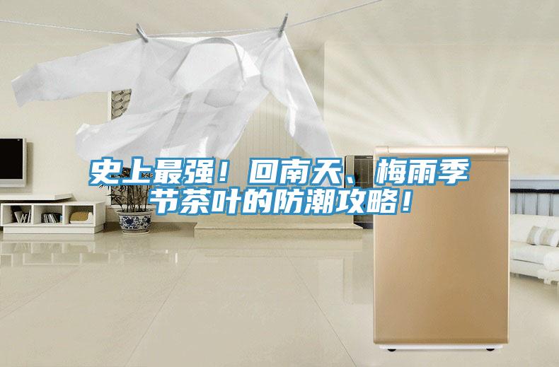 史上最強(qiáng)！回南天、梅雨季節(jié)茶葉的防潮攻略！