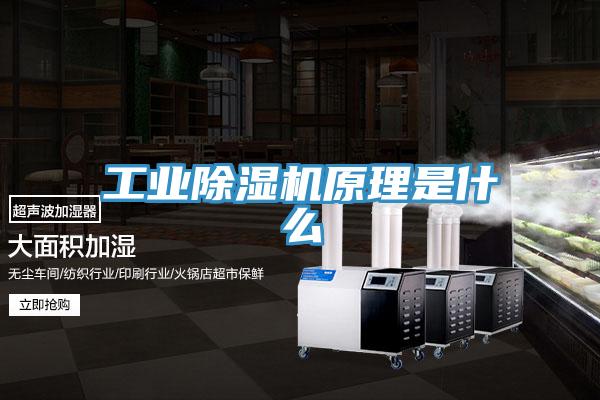 工業(yè)除濕機(jī)原理是什么