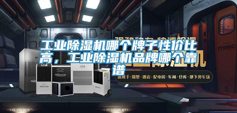 工業(yè)除濕機(jī)哪個(gè)牌子性價(jià)比高，工業(yè)除濕機(jī)品牌哪個(gè)靠譜