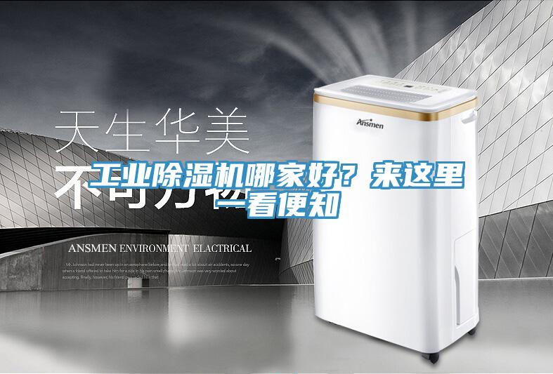 工業(yè)除濕機(jī)哪家好？來這里一看便知
