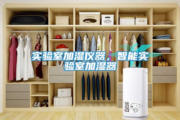 實(shí)驗(yàn)室加濕儀器，智能實(shí)驗(yàn)室加濕器