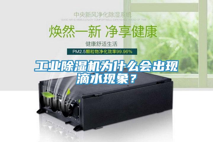 工業(yè)除濕機(jī)為什么會(huì)出現(xiàn)滴水現(xiàn)象？
