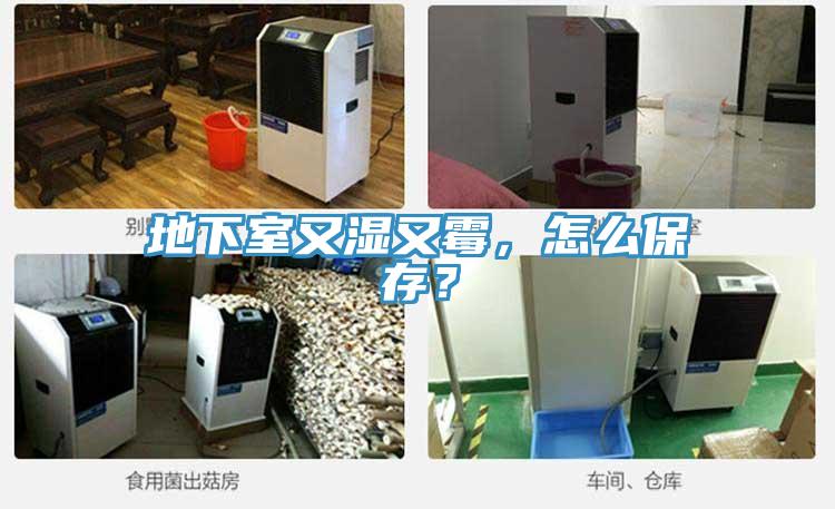 地下室又濕又霉，怎么保存？