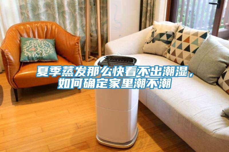 夏季蒸發(fā)那么快看不出潮濕，如何確定家里潮不潮