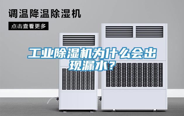 工業(yè)除濕機(jī)為什么會(huì)出現(xiàn)漏水？