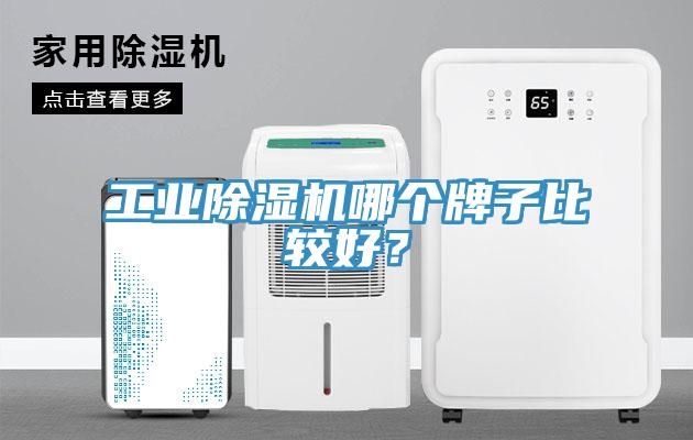 工業(yè)除濕機(jī)哪個(gè)牌子比較好？