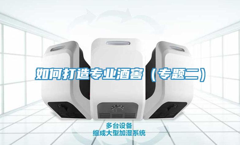 如何打造專(zhuān)業(yè)酒窖（專(zhuān)題二）