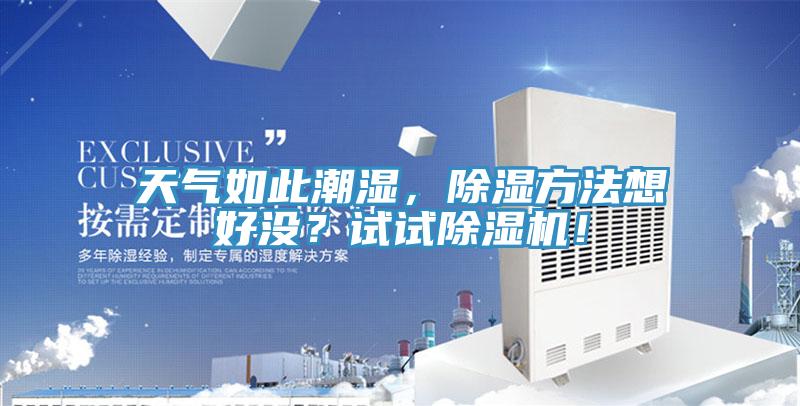天氣如此潮濕，除濕方法想好沒？試試除濕機！