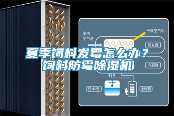 夏季飼料發(fā)霉怎么辦？飼料防霉除濕機