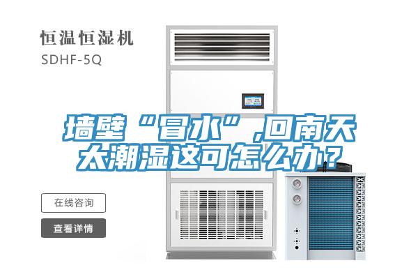 墻壁“冒水”,回南天太潮濕這可怎么辦？
