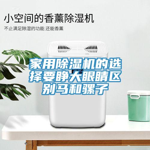家用除濕機的選擇要睜大眼睛區(qū)別馬和騾子