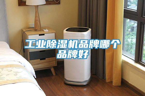 工業(yè)除濕機(jī)品牌哪個品牌好