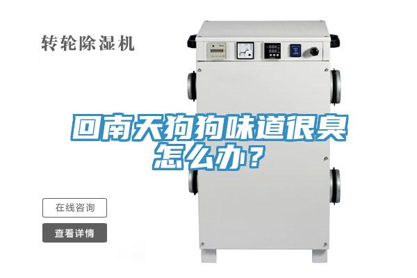 回南天狗狗味道很臭怎么辦？