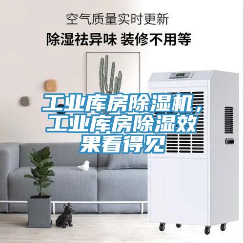 工業(yè)庫房除濕機(jī)，工業(yè)庫房除濕效果看得見