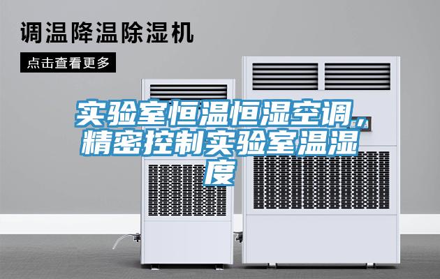 實(shí)驗(yàn)室恒溫恒濕空調(diào)，精密控制實(shí)驗(yàn)室溫濕度