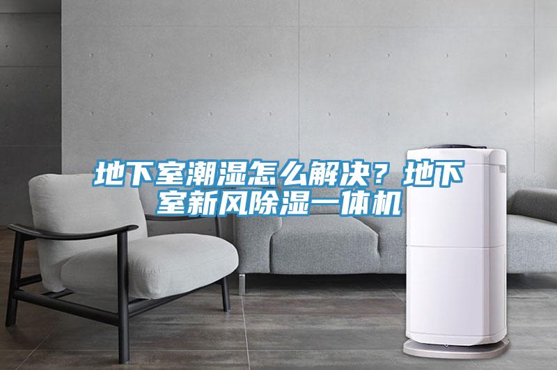 地下室潮濕怎么解決？地下室新風(fēng)除濕一體機