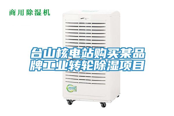 臺(tái)山核電站購(gòu)買某品牌工業(yè)轉(zhuǎn)輪除濕項(xiàng)目