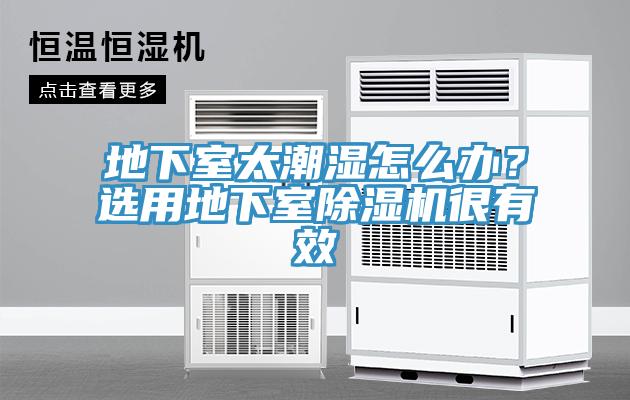 地下室太潮濕怎么辦？選用地下室除濕機很有效