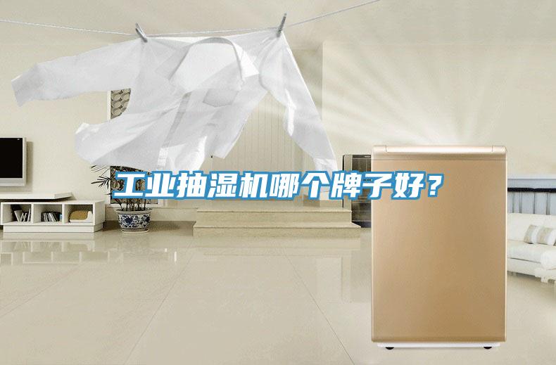 工業(yè)抽濕機哪個牌子好？