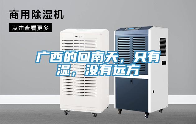 廣西的回南天，只有濕，沒有遠(yuǎn)方