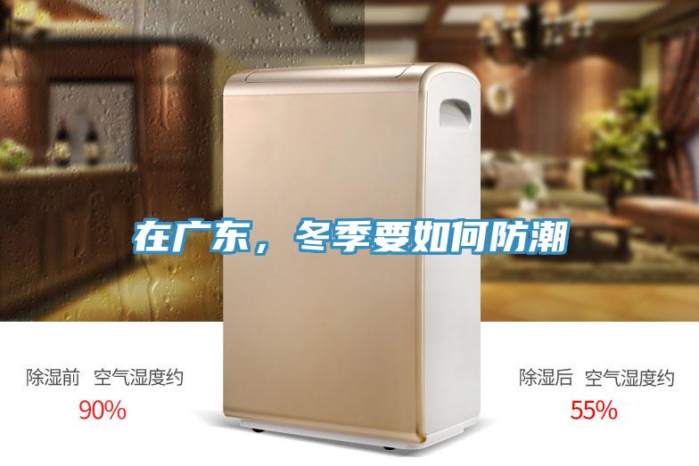 在廣東，冬季要如何防潮