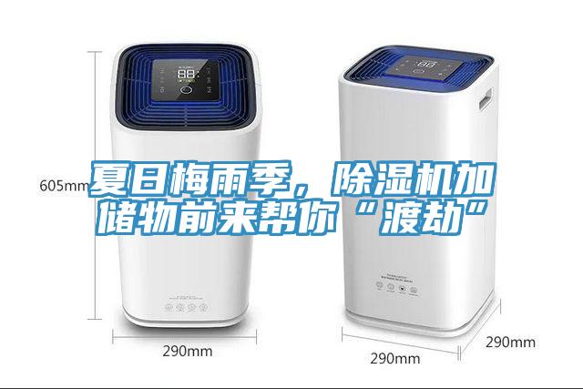 夏日梅雨季，除濕機加儲物前來幫你“渡劫”