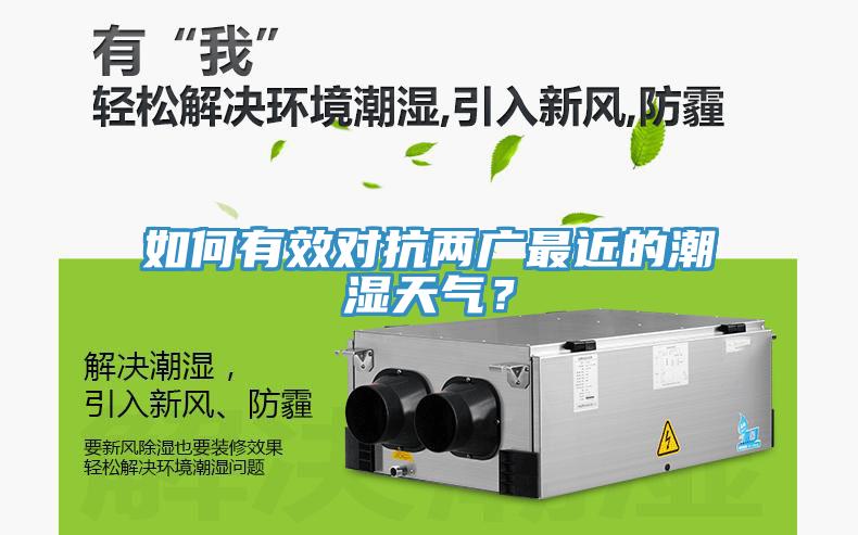 如何有效對(duì)抗兩廣最近的潮濕天氣？