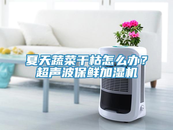 夏天蔬菜干枯怎么辦？超聲波保鮮加濕機(jī)